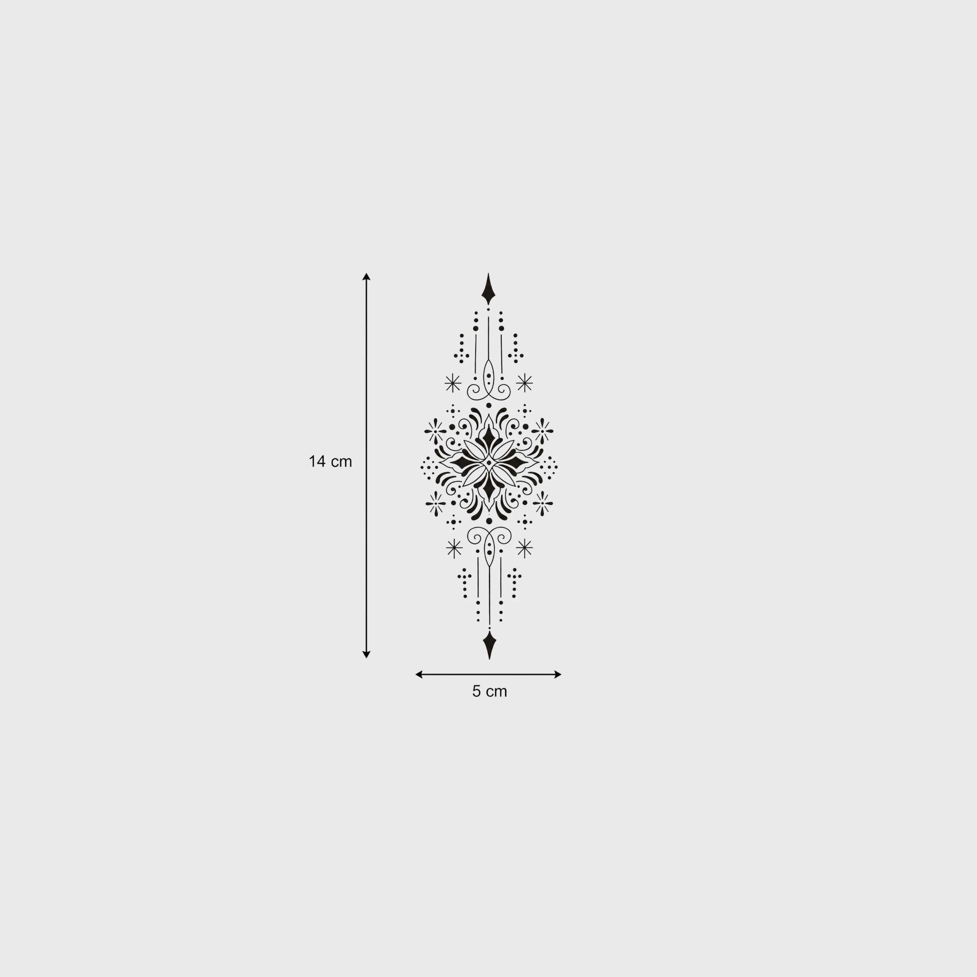 Astra - Image 3