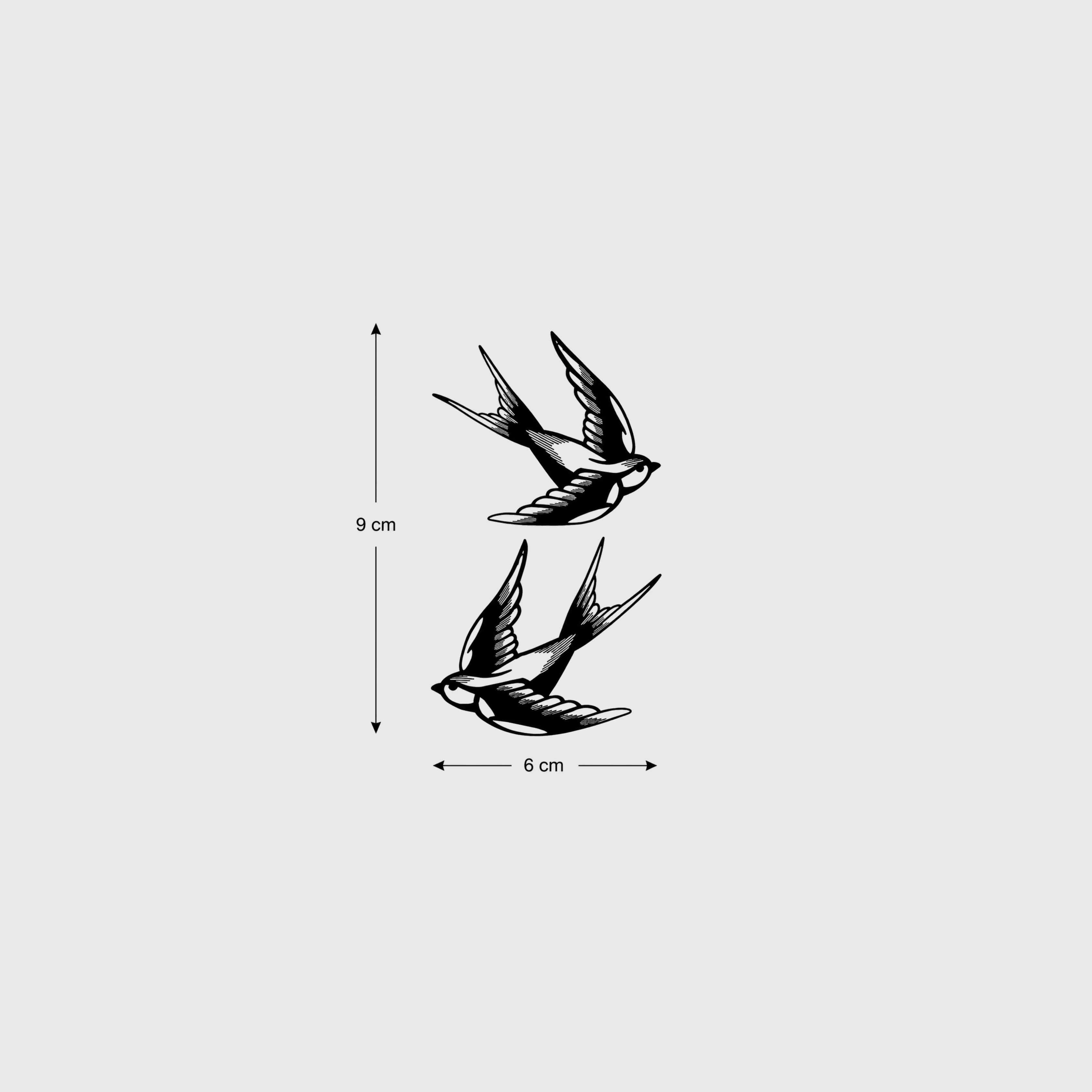 Boundless Swallows - Image 3