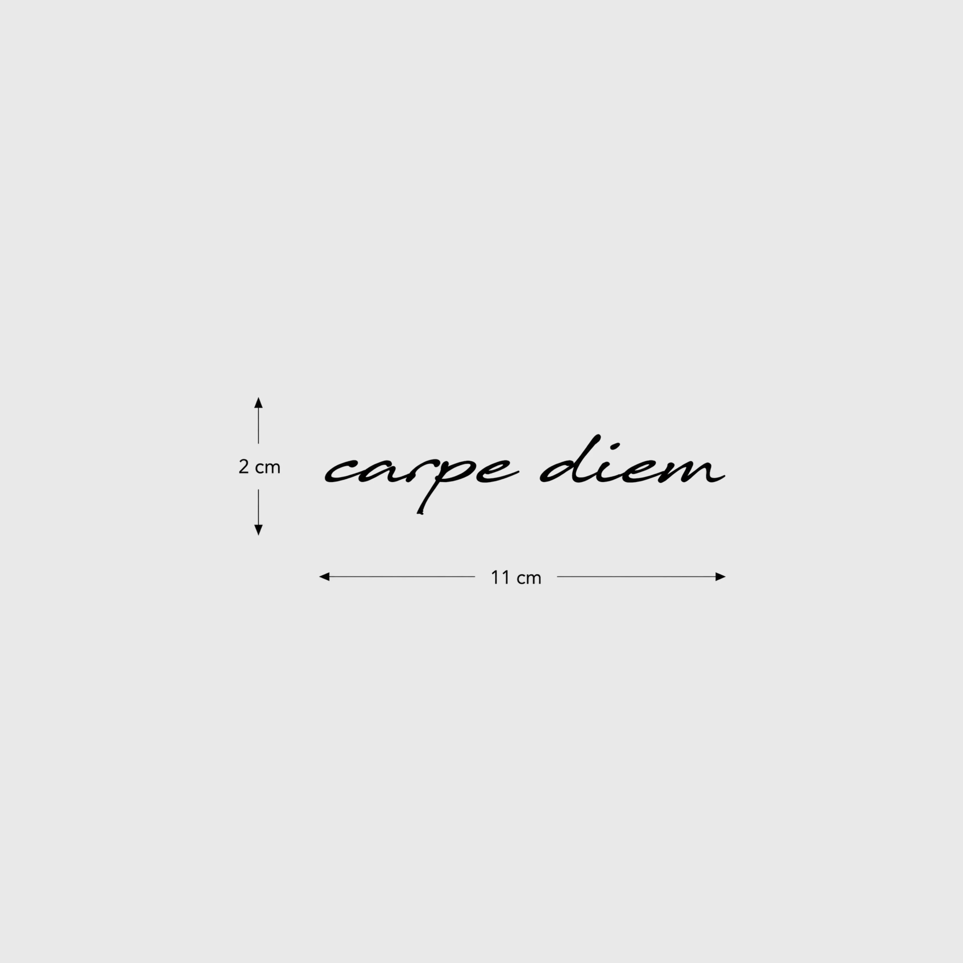 Carpe Diem - Image 3