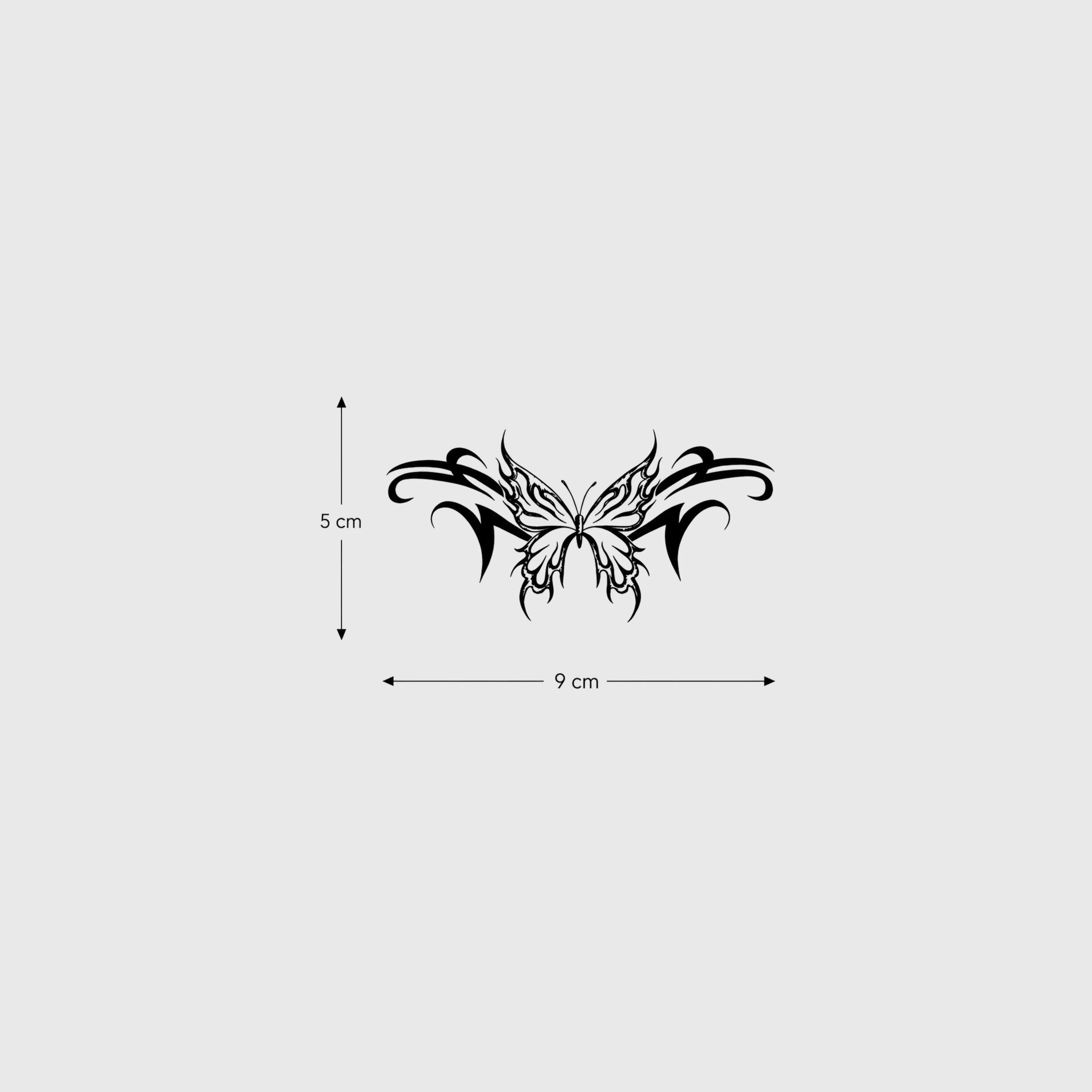 Electrifly - Image 3