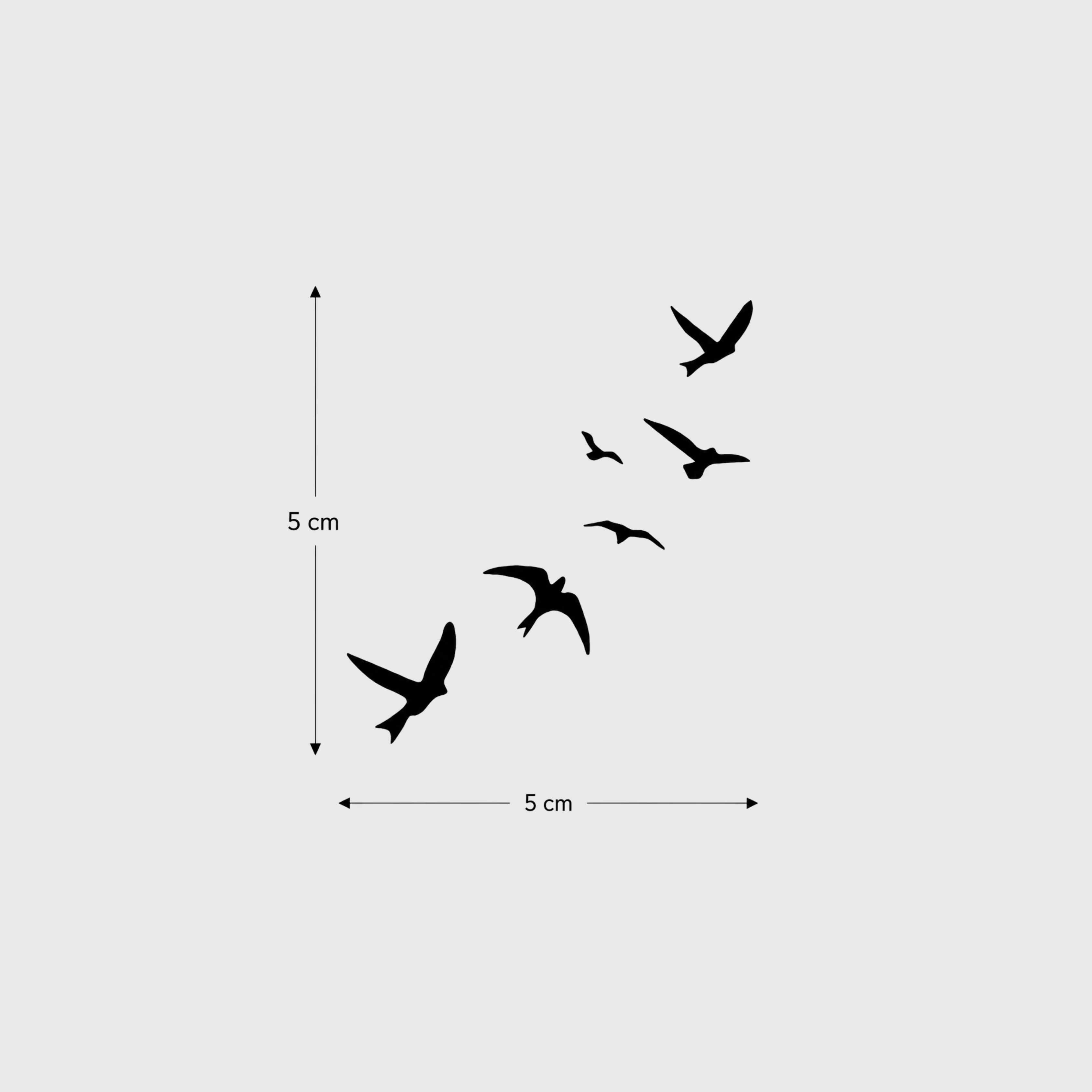 Flock - Image 3