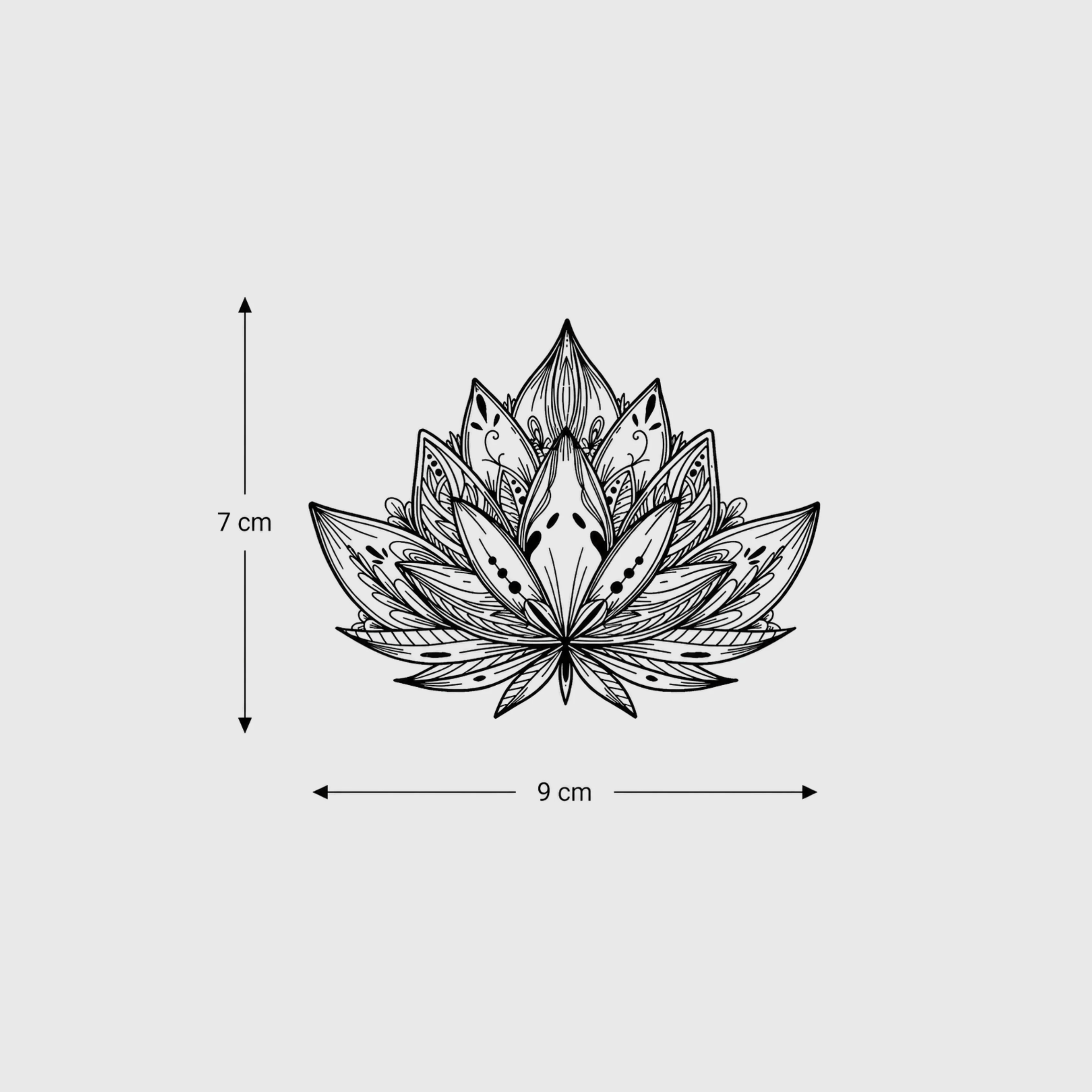 Lotus - Image 3