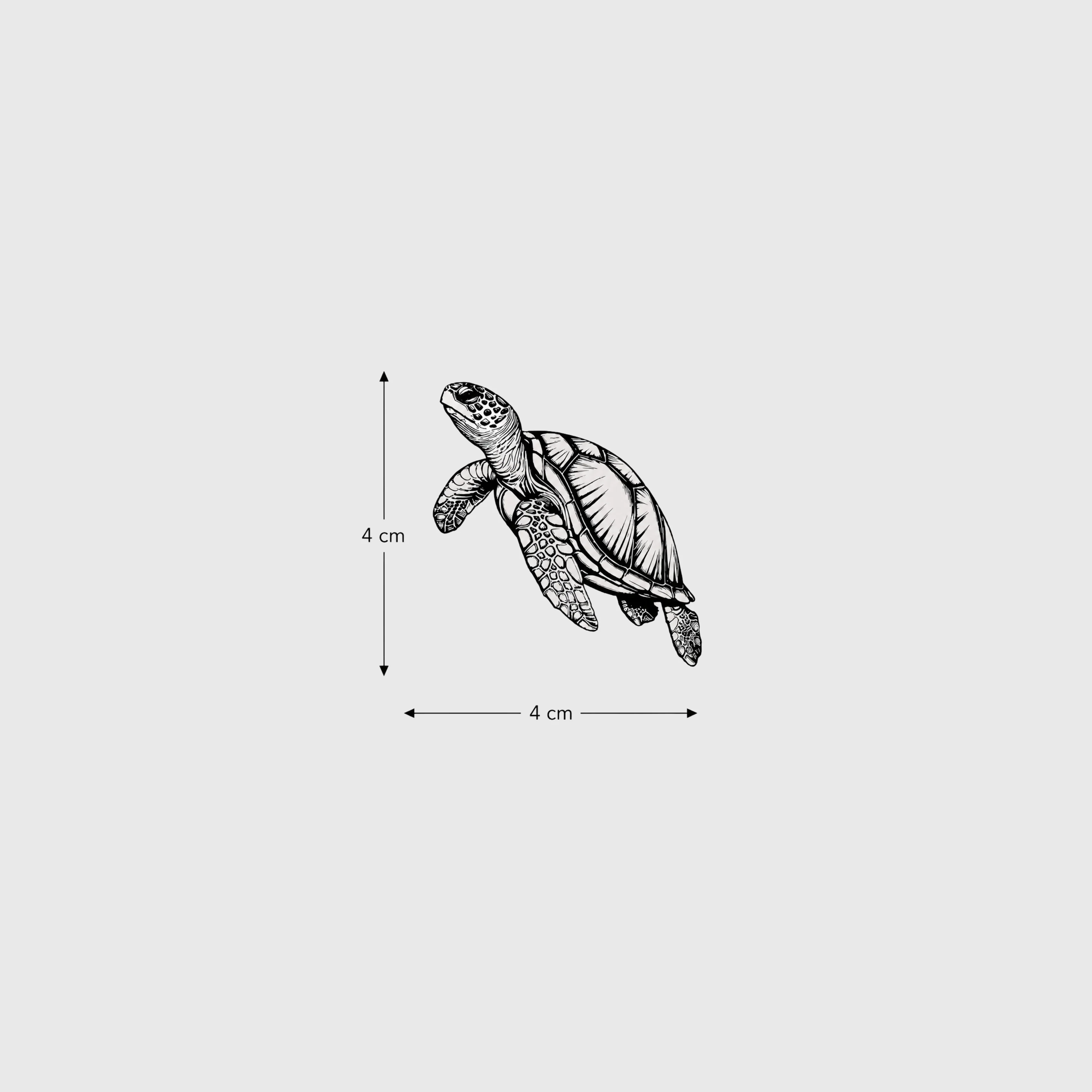 Sea Turtle - Image 3