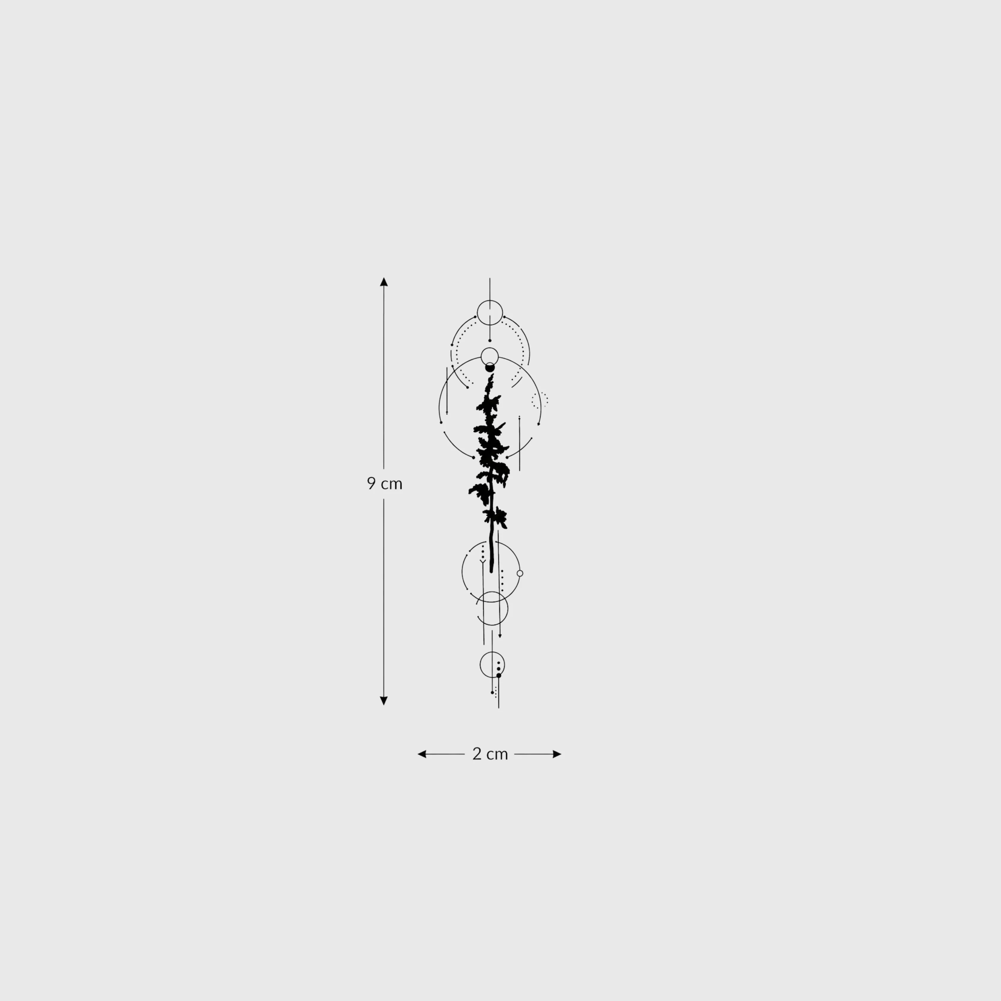 Treeology - Image 3