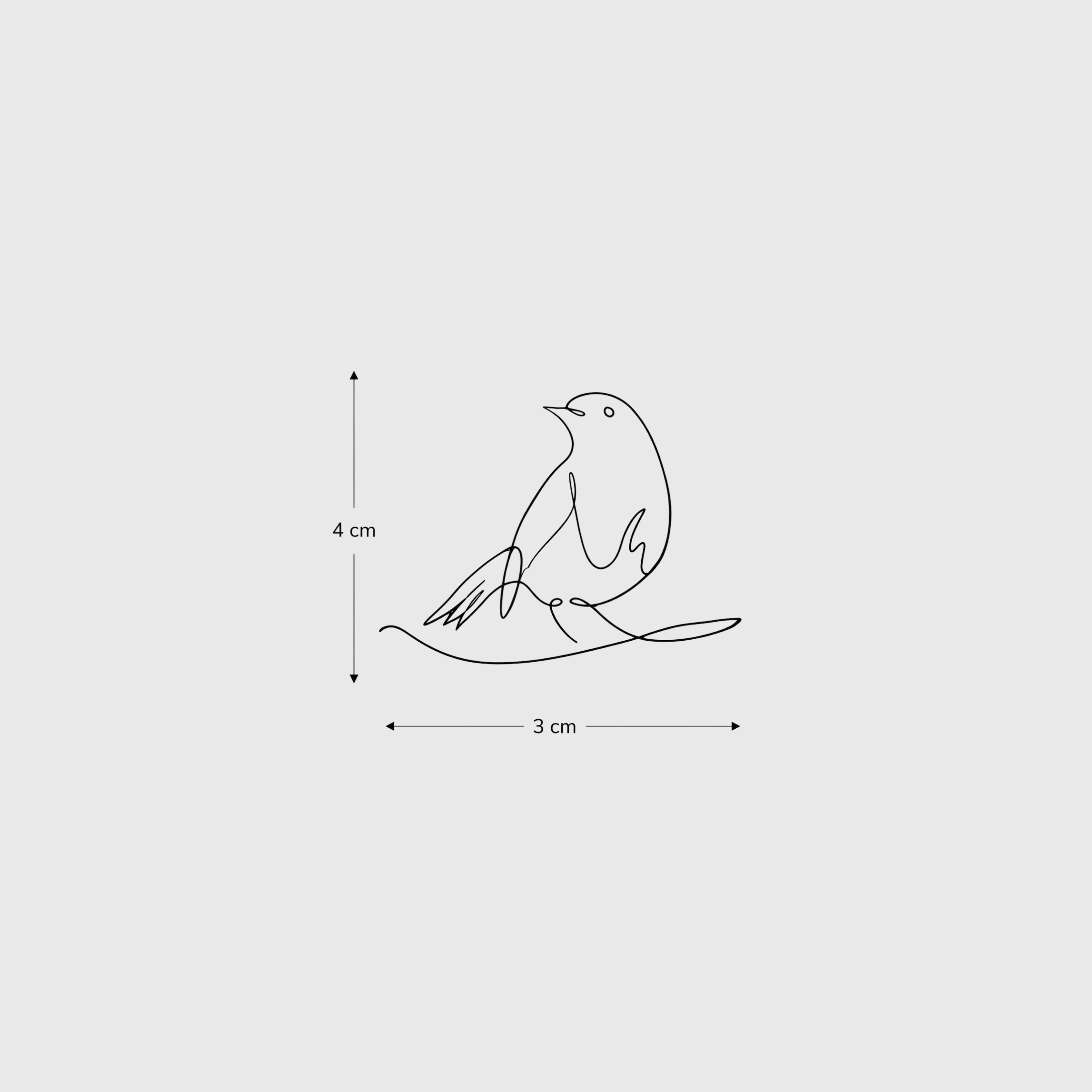WIld Perch - Image 3